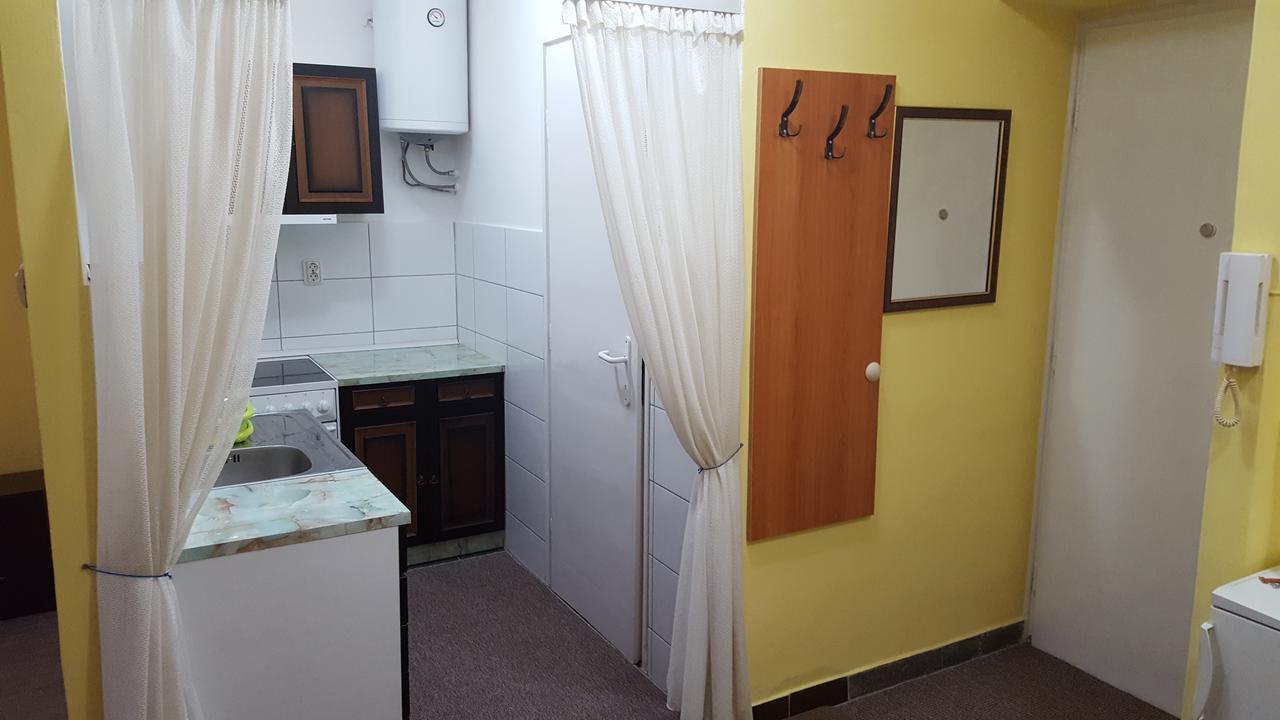 Apartment Roxana Centar Novi Sad Exterior photo